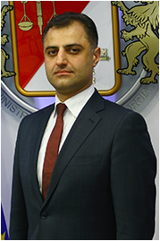 First Deputy Minister of Finance of Georgia, Director General (DG) of Georgian Revenue Service (GRS)