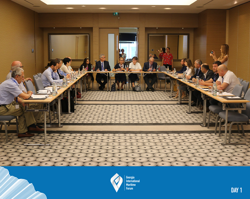 The Regional Workshop on Prevention and Control of Shipping and Port Air Emissions is been held at Radisson Blu Batumi.